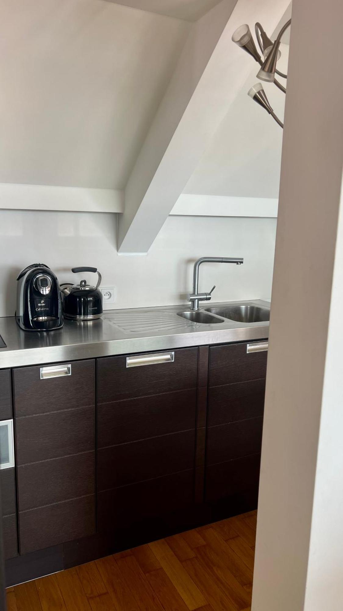 Apartman Se Saunou A Terasou S Vyhledem Na Brno Esterno foto