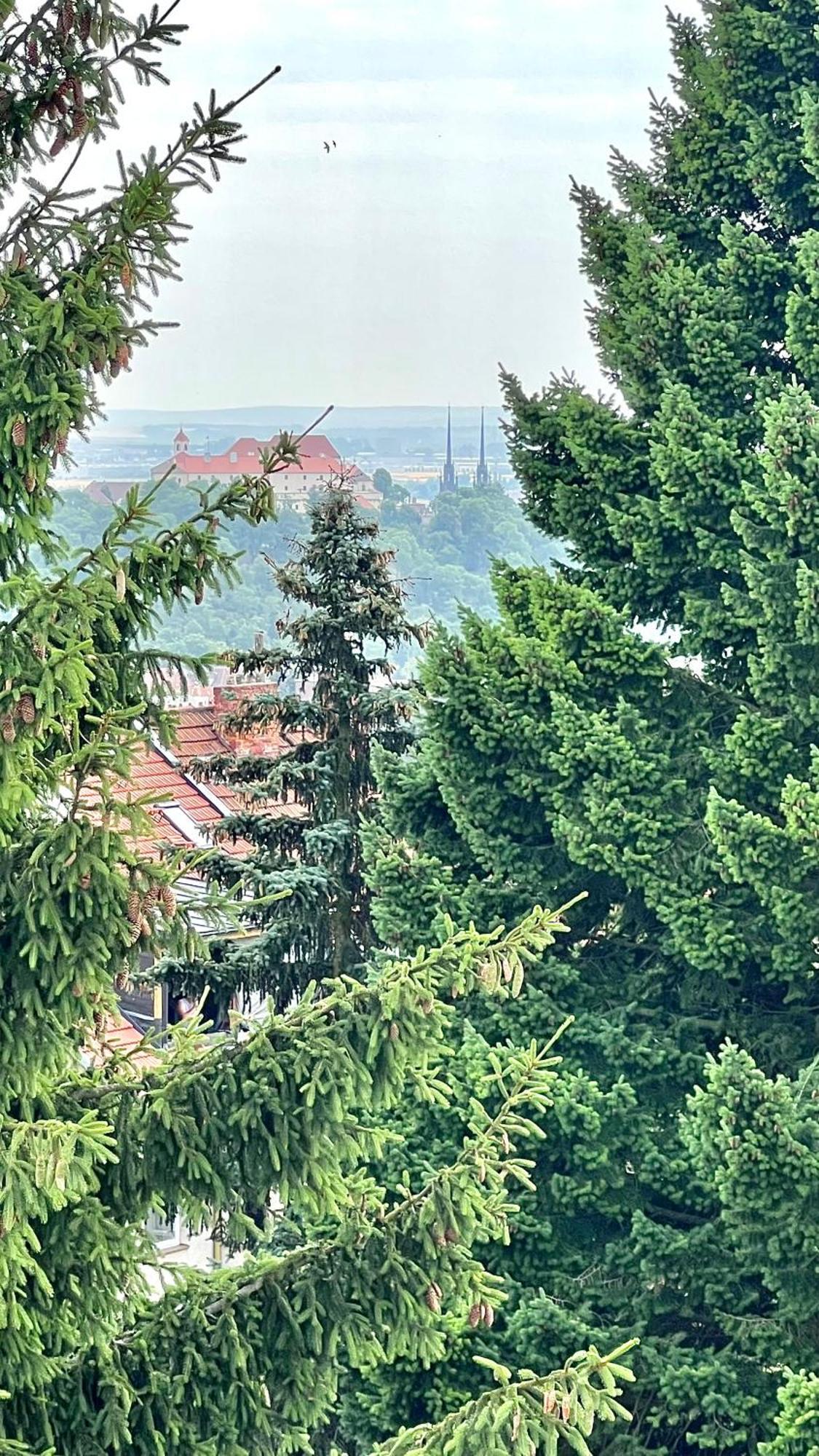 Apartman Se Saunou A Terasou S Vyhledem Na Brno Esterno foto
