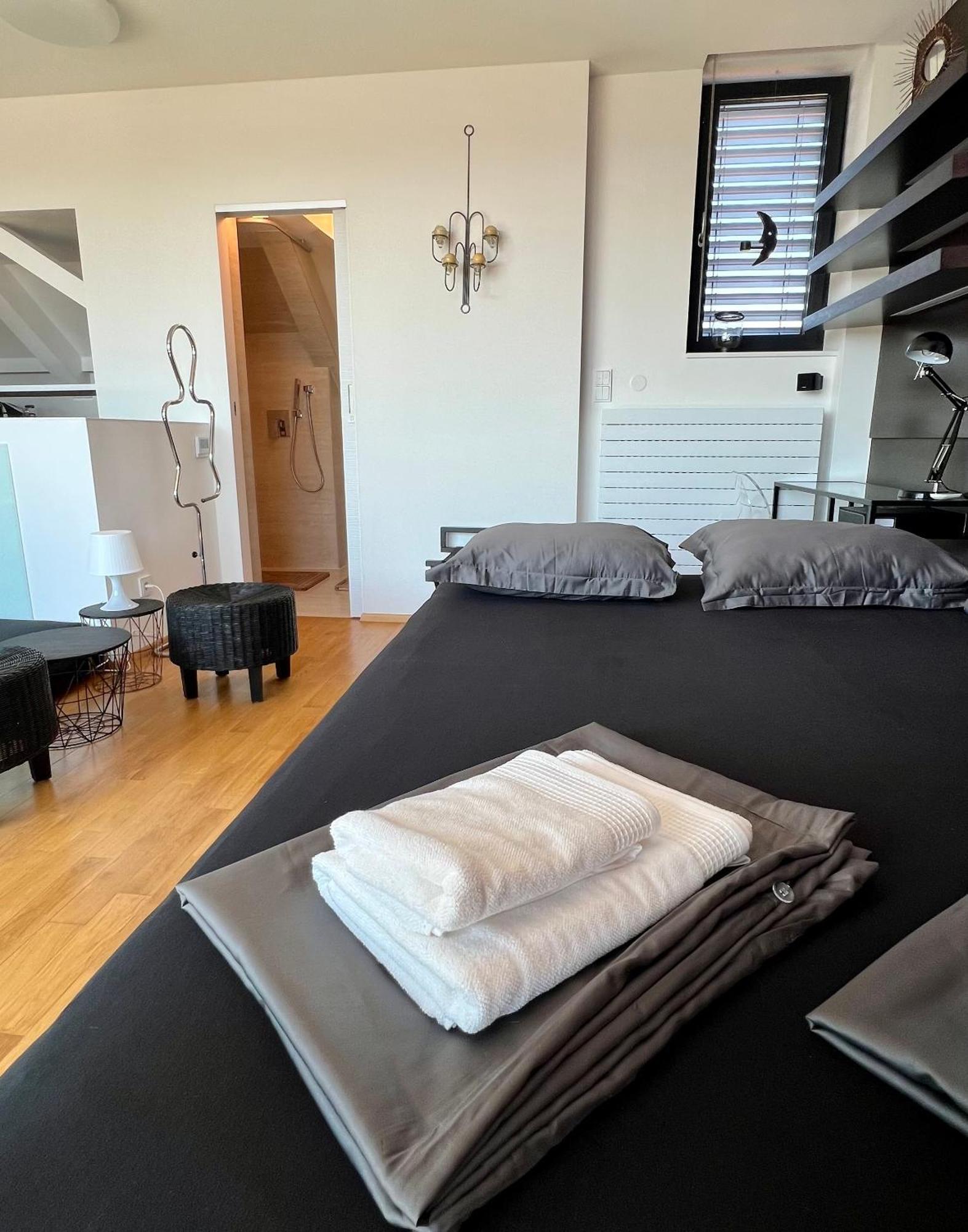 Apartman Se Saunou A Terasou S Vyhledem Na Brno Esterno foto
